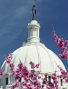 Capitol Dome and Redbuds